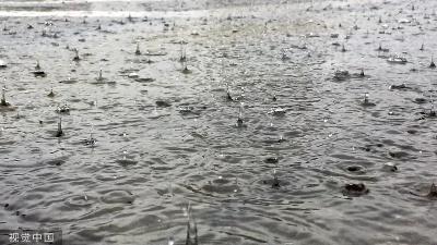 印度南部一面包车坠谷 致11人死亡