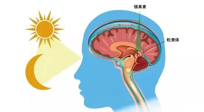 科学家提醒：睡觉开个小灯，可能会偷偷伤害你的心脏