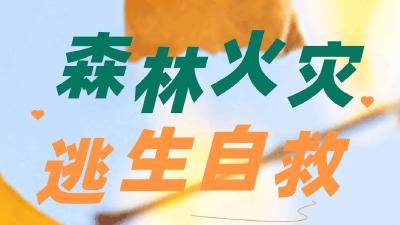 国家减灾委、应急管理部：3月南北多地森林火险形势较为严峻
