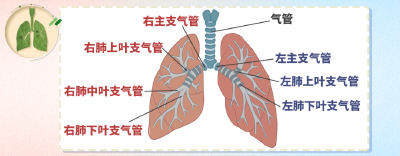 影像检查发现肺部有阴影，是肺癌吗？ 