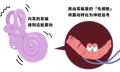 坐地铁戴耳机，会损伤听力吗？