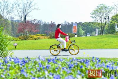 雨水潇洒退场！湖北清明拥抱20℃+的晴空