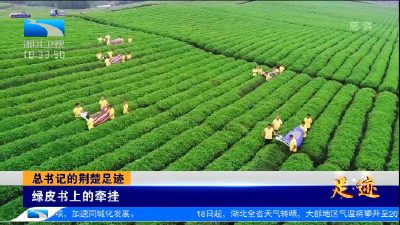 总书记的荆楚足迹 | 绿皮书上的牵挂