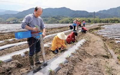 文旅部等六部门合力推动文化产业赋能乡村振兴