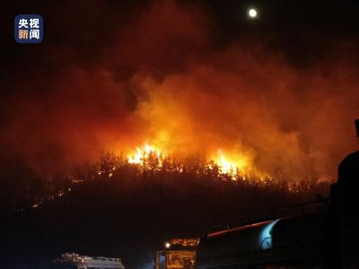 山东青岛发生山火 扑救工作仍在进行