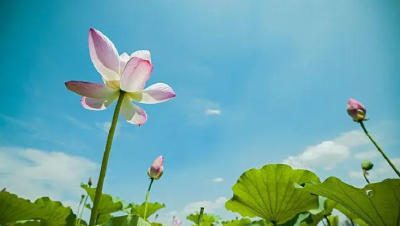 从小事小节上守起