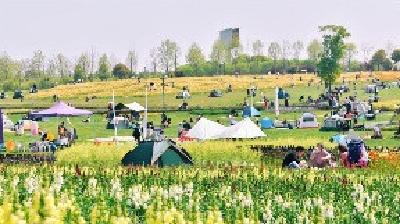  清明就近踏青赏花 部分景区倡导提前预约错峰出行