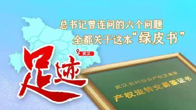 【湖北省十二次党代会速递】总书记曾连问的六个问题，全都关于这本“绿皮书”！