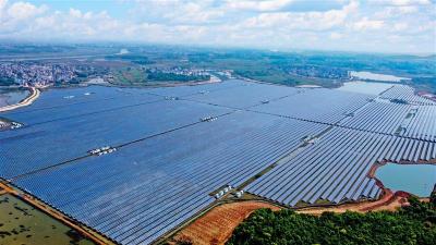 2021年我国医药外贸成绩如何？中药进出口两旺，西药出口大增