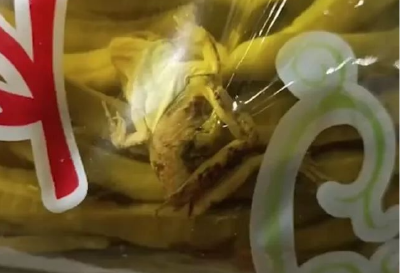 酸豆角里惊现青蛙，商家怎能“爱咋地咋地”了事