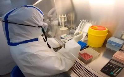 上海昨日本土新增“2736+20634”