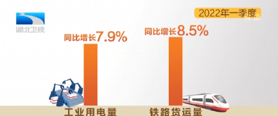  一季度湖北省工业增加值增长9.8%