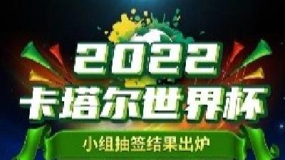 卡塔尔预计世界杯期间将有100万球迷到访