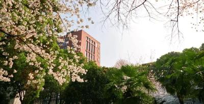 开始正畸后，日常如何维护口腔卫生健康？