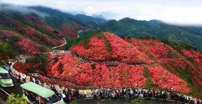 免门票！湖北多家景区诚邀医护工作者