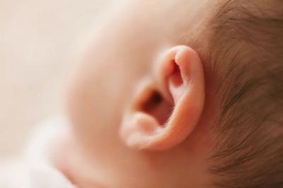 耳朵大、耳垂长是长寿特征？专家分析：耳朵如何影响你的健康和寿命