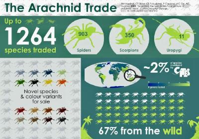 最新研究称约1200种蛛形类物种在全球被交易 八成不受监管