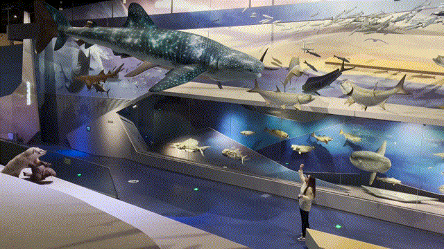 远古动物在武汉“醒来”，“AR+博物馆”沉浸式体验今起上新园博园