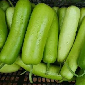 警惕！这些蔬菜变苦有毒！很多人爱吃…