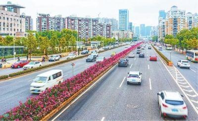 提醒！武汉这条道路单向通行！延期至8月30日