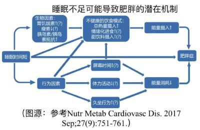 别再熬夜刷手机？睡得少、睡不好导致肥胖