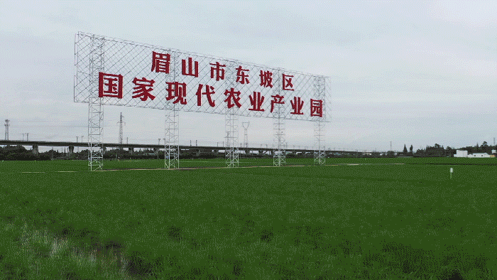时政微纪录丨习近平总书记四川行