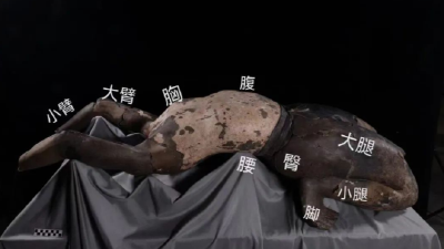 秦始皇陵公布罕见陶俑！网友：“仰卧起坐”？