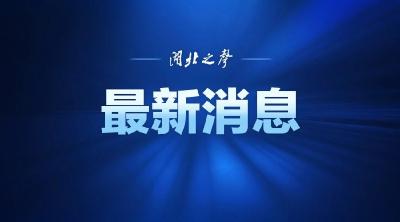 伊朗外交部发表声明！