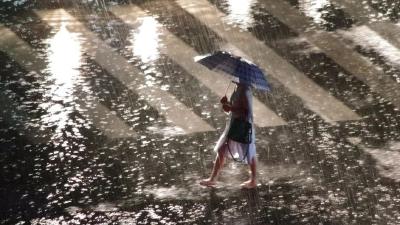 梅雨期间湖北可能有3次较明显降水 省防办要求加强灾害监测预报