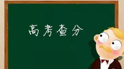 湖北高考艺术类、体育类、技能高考一分一段表来了