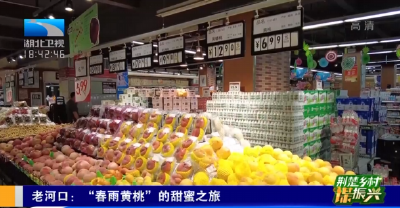 荆楚乡村谋振兴 | 老河口：“春雨黄桃”的甜蜜之旅