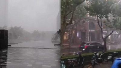 暴雨突袭上海堪比台风过境，大树被吹倒