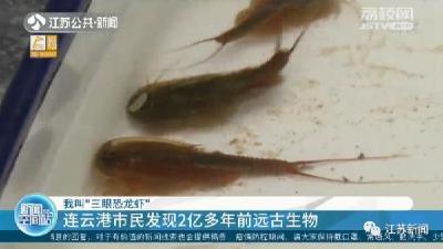 连云港一男子小区池塘发现2亿年前远古生物
