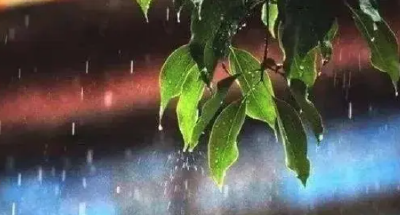 台风“暹芭”低压过境，今明湖北多地大到暴雨，注意防范！