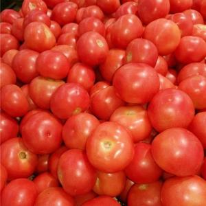 这个食物被称为“维生素的仓库”，夏日防暑就吃它！