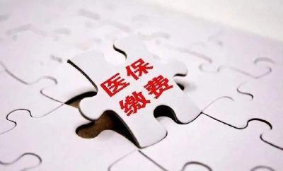医保缓缴政策来了，8月1日起执行！涉及武汉这几个区