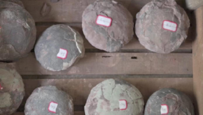 男子倒卖60件恐龙蛋化石被抓获 其中含重点保护古生物化石
