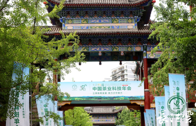 签约投资额37.66亿元！中国茶业科技年会首次在湖北举行