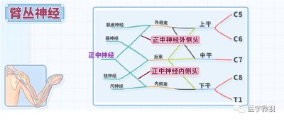 顺产也会损伤神经？专家：这个时限内不用着急！