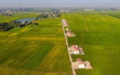 湖北省农业农村部门将全力开展农业科技防灾减灾服务工作