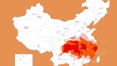 湖北发布高温红色预警 最高气温达44℃