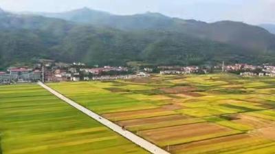 长江流域降水偏少 未来一周干旱风险持续增加