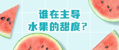 不甜的水果热量低？小心越吃越胖！