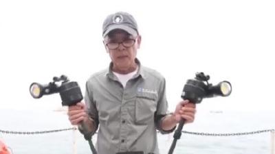 一问到底丨人工打光、海底潜泳…… 水下考古拍摄还有哪些技能？
