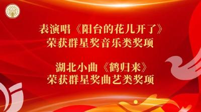 湖北2件作品获国家级大奖