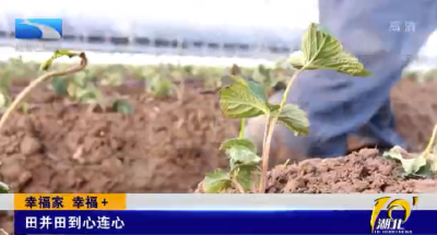 幸福家 幸福＋| 田并田到心连心