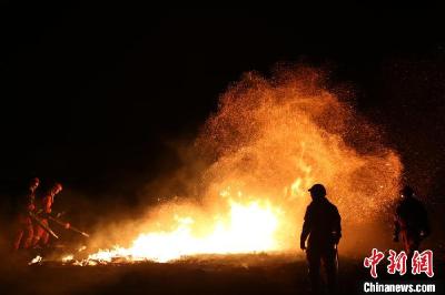 蒙古国草原火蔓延至中国边境呼伦贝尔 目前明火已被扑灭