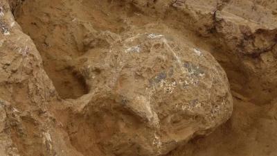 湖北，又有重要发现！