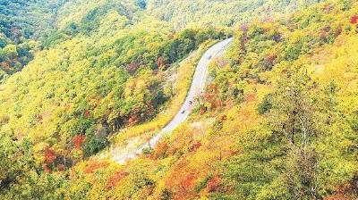 游荆山楚水 享丰收喜悦 “丰收的湖北”10条精品旅游线路发布