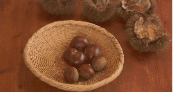 秋冬补肾吃什么好？中医给你举个“栗子”